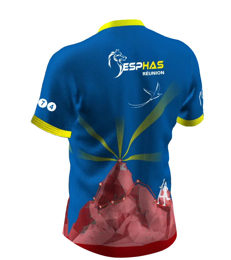 ESPHAS - V1 – Image 4