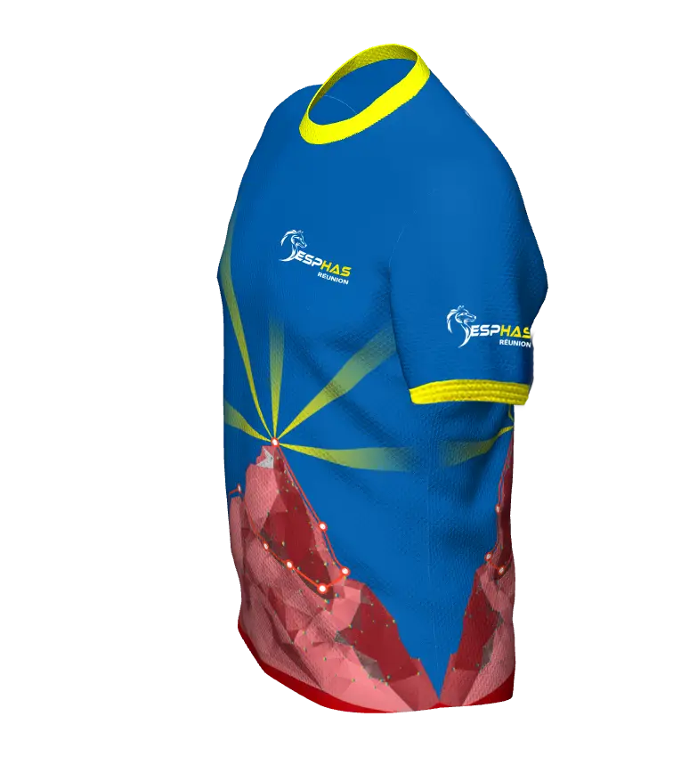 ESPHAS - V1 – Image 3