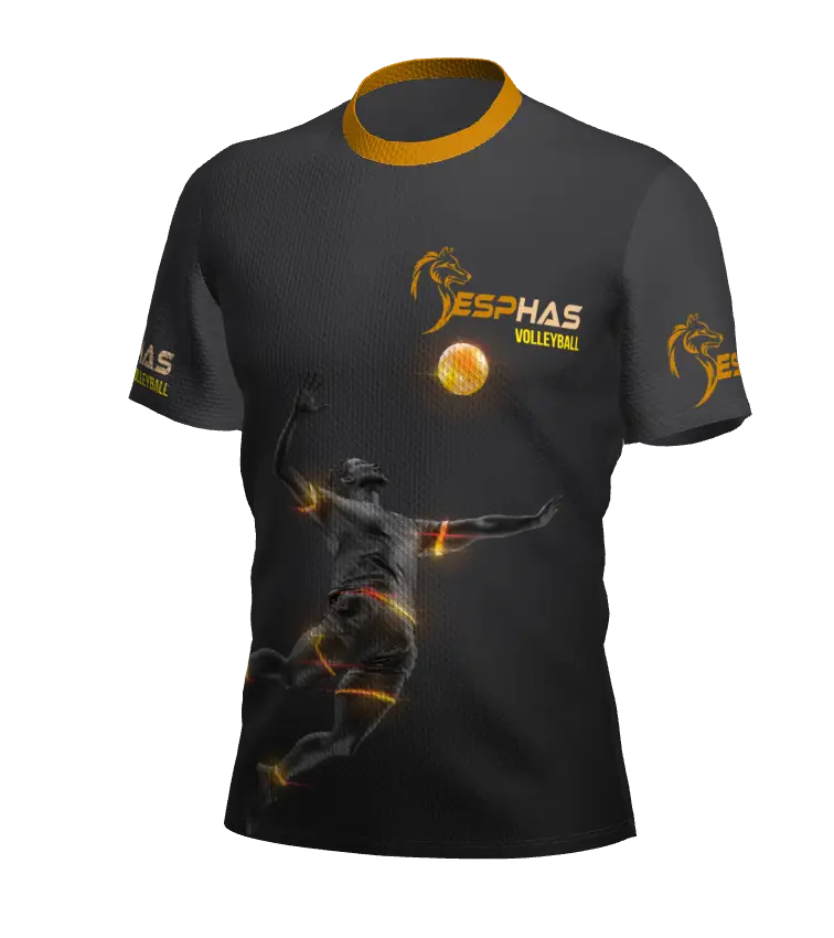 VOLLEY